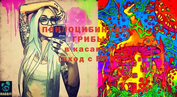 скорость Абинск