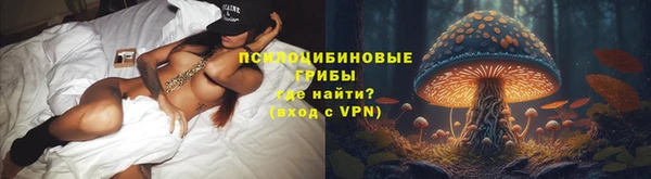 дмт Покров