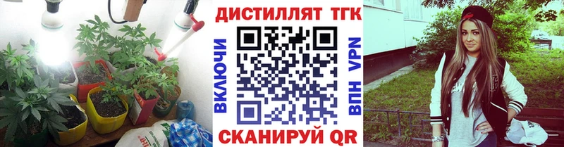 как найти Торопец Дистиллят ТГК Wax