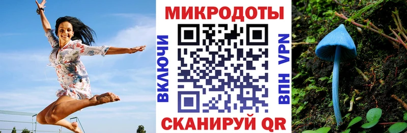Псилоцибиновые грибы Psilocybe мега ссылка Торопец где можно купить наркотик