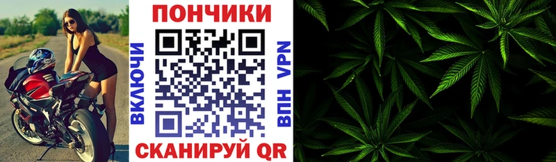 купить  цена  Торопец  Шишки марихуана ГИДРОПОН 